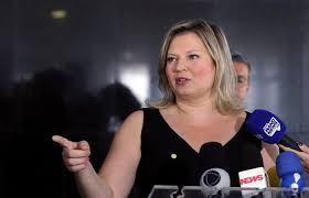 É assim que joice hasselmann projeta o seu mandato na câmara. Joice Hasselmann Critica Postagem De Bolsonaro Em Que Psl E Representado Por Hiena Politica Diario De Pernambuco