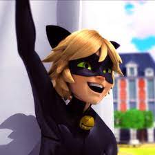 Miraculous Chat Noir Miraculous Ladybug Normal Girl Chat Noir