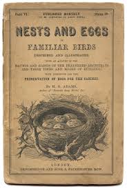 5 Title Page Ephemera Old Books The Graphics Fairy