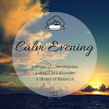For those new to essential oils, diffuser blends are the great non toxic, chemical free and all natural way to capture your favorite fall scents. Pin On Diffuser Blends