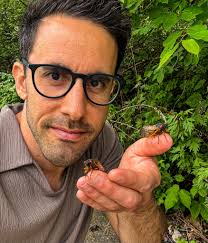 Pack Saddle Bridge in Southern Somerset County