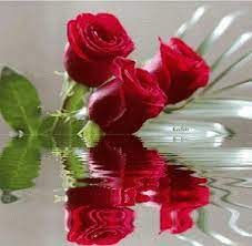 Check spelling or type a new query. Keefers Has Shared An Animated Gif From Photobucket Click To Play Beautiful Flowers Flowers Gif Flowers
