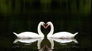 ✓ free download ✓ choose from our handpicked hd love wallpapers and find your next background for your phone. 18 Romantic Love Wallpapers Wallpaperboat