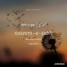 Pin By Anjali Singh On Urdu Words Word Of The Day Urdu Words Words