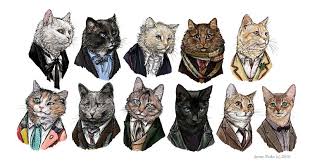 Dr Who Jenny Park Cat Illustration Doctor Cat