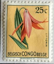 Image result for Littonia