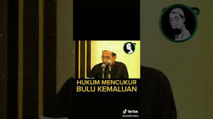 Rasulullah saw diriwayatkan oleh bukhori (5890) dan muslim (261) oleh ibnu umar r.a berkata Ustaz Azhar Idrus Uai Hukum Mencukur Bulu Kemaluan Youtube