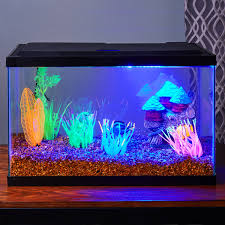 Just fill up the tank with water and add your fish, and plug power cord into your wall outlet. Aquaculture Aquarium 10 Gallon Walmart Com Walmart Com