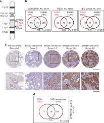 2 hours this paper must be answered in english. A Self Sustaining Endocytic Based Loop Promotes Breast Cancer Plasticity Leading To Aggressiveness And Pro Metastatic Behavior Nature Communications
