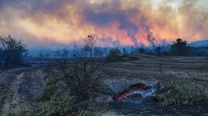 Jul 29, 2021 · a massive forest fire in southern turkey destroyed at least one village on wednesday (july 28), as homes at four neighborhoods were evacuated. Tbvmteulvxfc2m