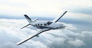 Image result for Piper