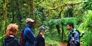 The small city of monteverde is a 53 square km region located between the provinces of puntarenas, guanacaste and alajuela in the central northwestern part of the country. Monteverde Cloud Forest Reserve Costa Rica