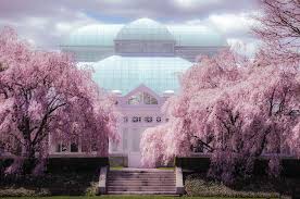 Starting next tuesday, september 15, we're reopening our new york city landmark glasshouse to members—and to everyone on september 22—with very limited capacity. Enid Haupt Conservatory New York Botanical Garden Photograph By Julie Palencia