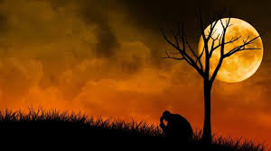 Hd Heart Touching Background Images Wallpaper Cave