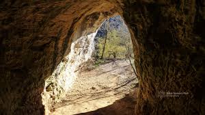 The cave is generally dry, the water flows in a deeper level, but during heavy rains the young cave. Erdekessegek A Bukk Videk Barlangjairol Hir Ipolytarnoci Osmaradvanyok