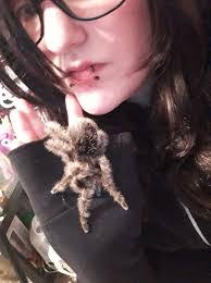 Fawn Bird's Instagram, Twitter & Facebook