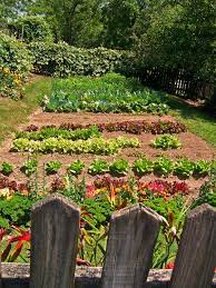 Things That You Need To Know About Landscaping Amish Farm Backyard Vegetable Gardens Vegetable Garden