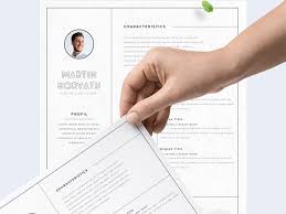I am pointing your attention towards the field of design. Free Professional Resume For Adobe Xd Xd File