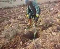 Narlı zeytin salatası közlenmiş biberleri ince ince doğrayın. Zeytin Agaci Dikimi Youtube