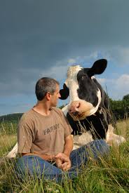If You Need Me I Ll Be Cuddling Rescued Animals At This Upstate Farm Stay In 2020 Animal Sanctuary Farm Sanctuary Animals Beautiful