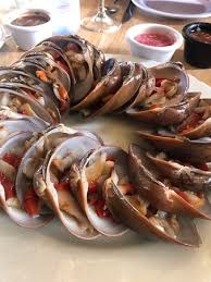 Almeja — (probablemente del port. Almeja Chocolata Picture Of Marbella Cancun Tripadvisor