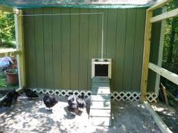 Bird Feeder Pulley System The Woods Family Egg Shack Chickens Backyard Chicken House Wood
