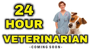 Send us questions and we'll respond within 24 hours. 24 Hour Vet Liverpool Uk Emergency Pet Hospital Liverpool Area Youtube