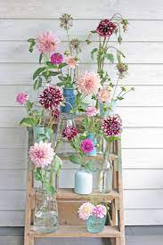 Nice Dahlia Flower Compilation All Coming From My Own Garden Wow Just Plant Some Dahlia Tubers In Flower Vase Arrangements Flower Farm Flower Arrangements