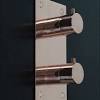 Products fittings shower exposed thermostatic exposed thermostatic system with 8 shower rose shower fittings tub and shower faucets steam showers bathroom hall bathroom bathrooms website for business owners. Https Encrypted Tbn0 Gstatic Com Images Q Tbn And9gcsxobsabvuam6wmun3vueo3ndzr9qx0ttw7wuzl78g Usqp Cau