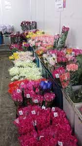 We did not find results for: Fresh Cut Flowers Wholesale Far East Flora Thomson Road Spring Tomorrow