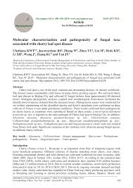 Pdf Molecular Characterization And Pathogenicity Of Fungal Taxa Associated With Cherry Leaf Spot Disease