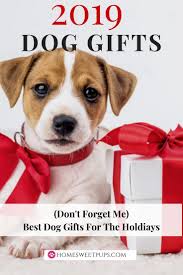 The story of togo, the sled dog who led the 1925 serum run despite being considered too small and weak to lead such an intense race. Surprise Your Dog This Christmas 2019 Dog Gifts Dog Gifts Best Dog Gifts Dog Presents