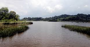 A pusat penyelidikan tasik chini can be abbreviated as pptc. Kerajaan Pahang Pptc Konsisten Pelihara Tasik Chini Manisfm