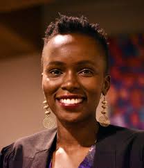 Adaptation vs. Mitigation: Sustainability Views from the Global South and  COP 29