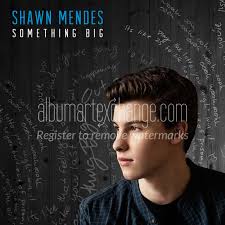 Used books starting at $3.59. Album Art Exchange Something Big Single By Shawn Mendes Album Cover Art