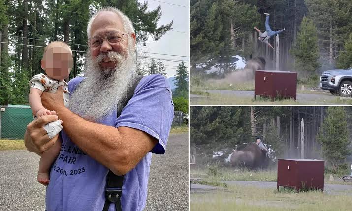 Yellowstone bison attack survivor says animal spared his life