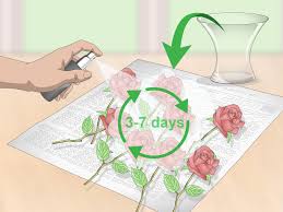 Maybe you would like to learn more about one of these? How To Preserve Flowers With Hairspray 14 Steps With Pictures