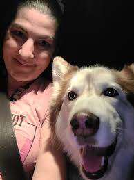 Let's see them happy huskies in the car