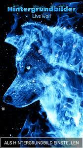 1920x1200 bilder leopard groã e katze tiere 1920x1200. Animierte Hintergrundbilder Wolf Fur Android Apk Herunterladen