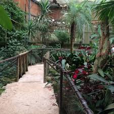 O zoo de santo inácio é o maior zoo do norte de portugal! Zoo Santo Inacio Precos Horarios Direcoes