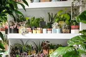 When you order plants online from bloomscape, you'll receive your new home décor in special packing technology made of 100 percent recycled if supporting talented artisans is important to you, this is the best place to order flowers online. 18 Of The Best Places To Buy Houseplants Online