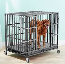 A crate divider panel is a useful tool in puppy training. 6 Escape Proof Dog Crates For Your Furry Houndini Bechewy