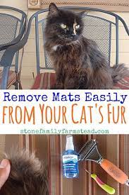 Remove Mats Easily From Your Cat S Fur Stone Family Farmstead Barncatcare Matted Cat Fur Cat Fur Cat Grooming