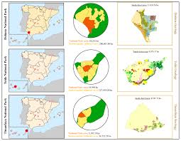 In this article, we look at the health impact of smoking, including its effects on the brain, heart, lungs, and immune system. Animals Free Full Text Camel Genetic Resources Conservation Through Tourism A Key Sociocultural Approach Of Camelback Leisure Riding Html