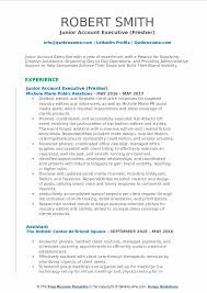 Group account director job description template. Junior Account Executive Resume Samples Qwikresume
