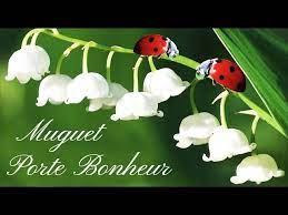 Oiseau à taches rouges sur un. Muguet Porte Bonheur Youtube