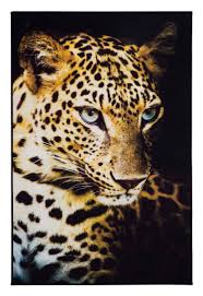 Ab 63,41 € ab 70,45 €. Andiamo Teppich Digital Teppiche Fussmatten Bodenbelage Fur Indoor Und Outdoor