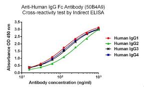 The optimal working dilution should be. Mouse Anti Human Igg Fc Antibody Hrp Mab Antibody Genscript