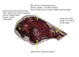 how to cut up an elk hind quarter