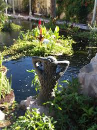 Lynette Zang On Twitter Picture Pond Perfect Swimmingpond Fish Water Food Sustainablity Community